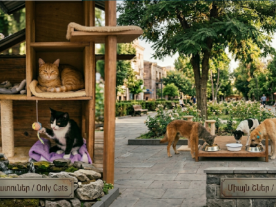 Կերակրե՛նք թափառող կենդանիներին