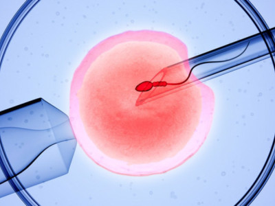 For IVF medicine